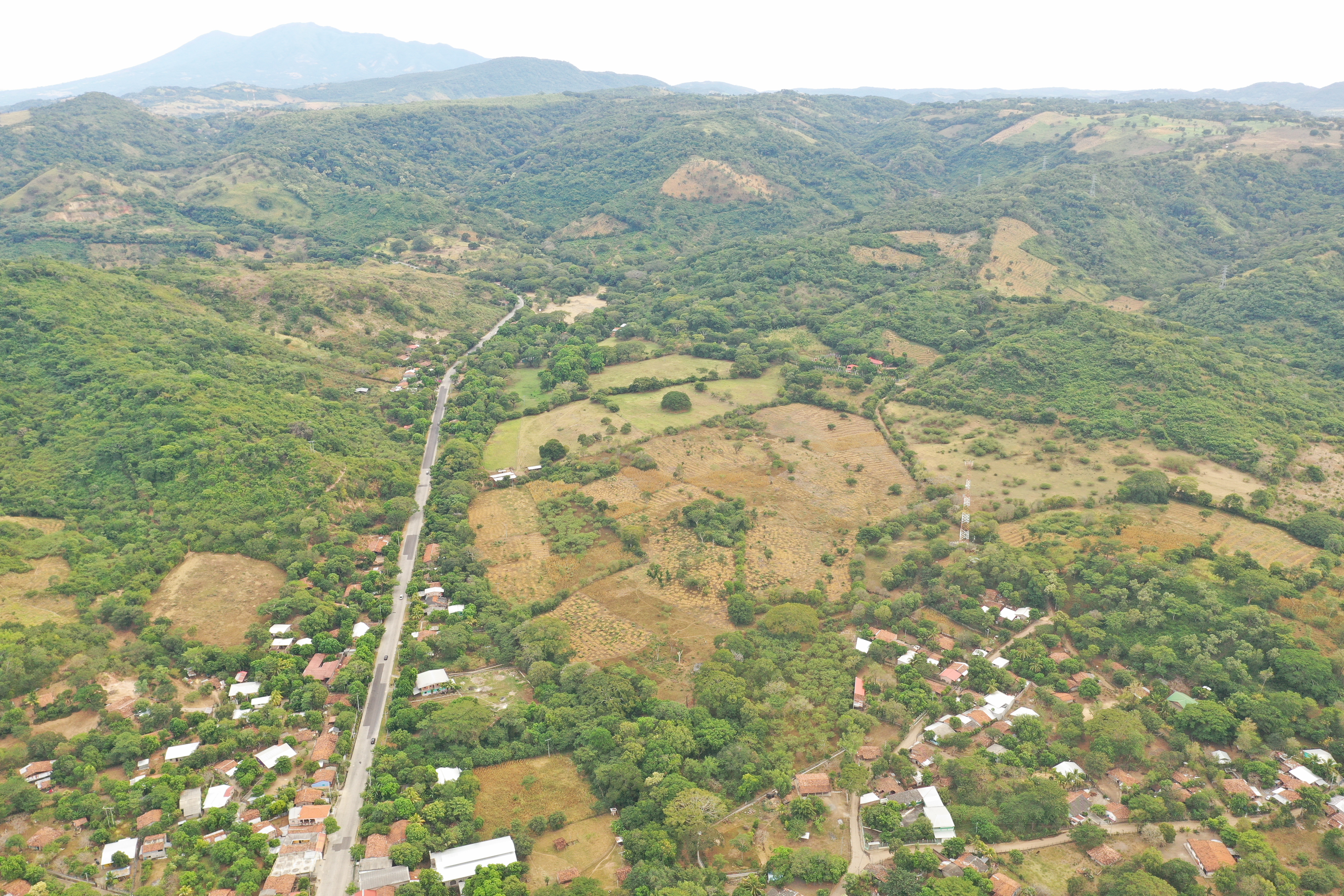 Imagen de Valoración de ecosistemas naturales y agroecosistemas